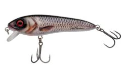 Abu Garcia SvartZonker McCelly 14cm, 64g -Fiske Utrustning McCelly RealRoach
