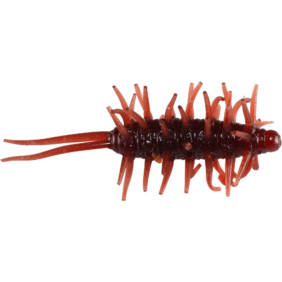 HideUp Coike Shrimp Mini 6.5cm, 5-pack 4 HideUp Coike Shrimp Mini 6.5cm, 5-pack - Bild 2