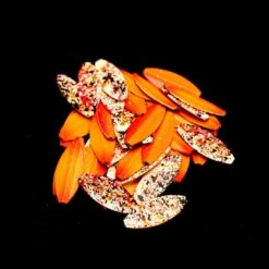 Mush Regnbågsbete -Fiske Utrustning mush atomic koi ultra uv