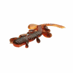 Savage Gear Craft Crawler 8,5 Cm, 8-pack